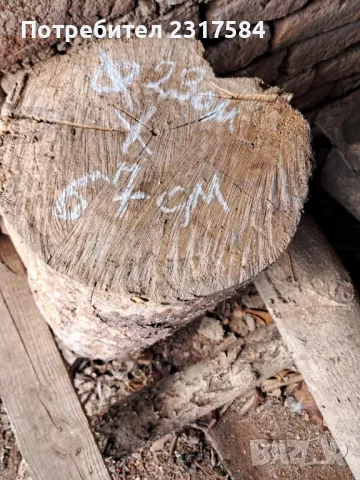 Продавам трупи и дънери от орех., снимка 5 - Строителни материали - 27503658