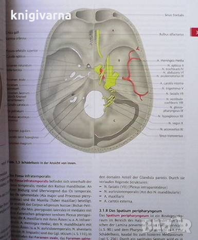 Kurzlehrbuch Anatomie und Embryologie Ulrike Bommas-Ebert, снимка 3 - Специализирана литература - 35849422