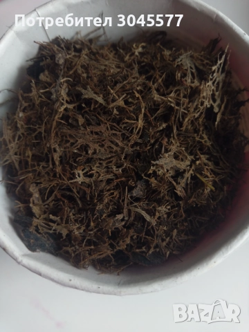 Преградки орехови 500 мл Черупки и друго от орех, снимка 6 - Други - 36318556