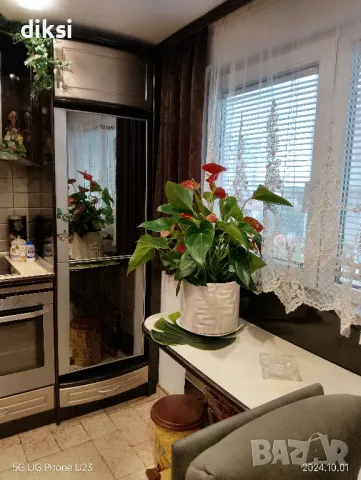 Нощувки - Център - ВИНС - 60 лв/стая, снимка 7 - Квартири, нощувки - 45237708