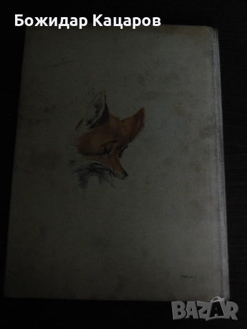 Стара детска книжка Приключенията на Пинокио. Цена- 30 лева  (15.34 €).Пращамо по Еконт., снимка 13 - Детски книжки - 52242511