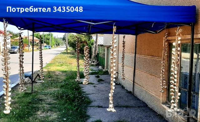 Домашен български зимен чесън собствено производство! Без химикали и пестециди!, снимка 9 - Домашни продукти - 52705970