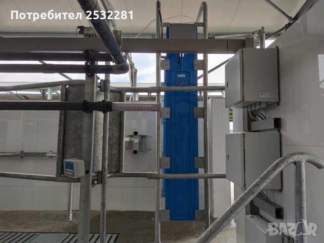 Доилни зали  за крави и биволи, снимка 4 - Крави - 42096369