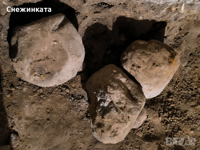 Подарявам големи камъни за алпинеум/декорация