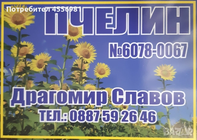 Пчелен мед от производител реколта 2025г. - доверие за качество