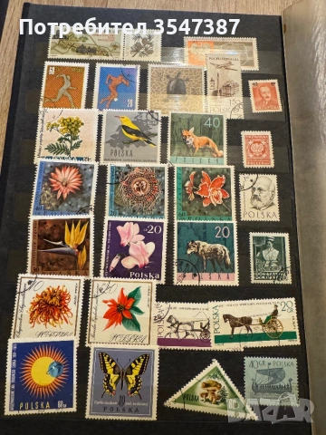 Колекция пощенски марки , снимка 15 - Филателия - 53240899