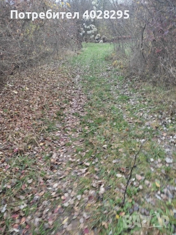 Имот в с.Габер, община Драгоман , снимка 3 - Парцели - 53387489