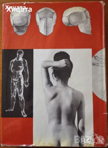 Gottfried Bammes:Der nackte Mensch;Wir zeichnen den Menschen;Учебна рисунка;История на изкуството, снимка 6 - Енциклопедии, справочници - 41524901