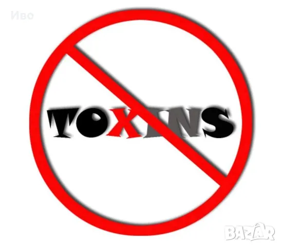 Hepatobios , снимка 4 - Папагали - 48365283