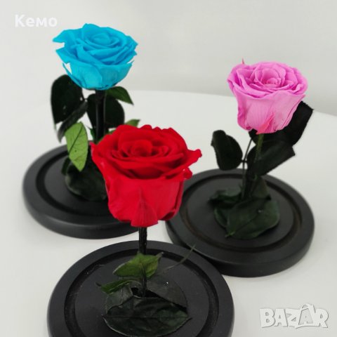 Вечна истинска роза в стъкленица, снимка 6 - Романтични подаръци - 31557958