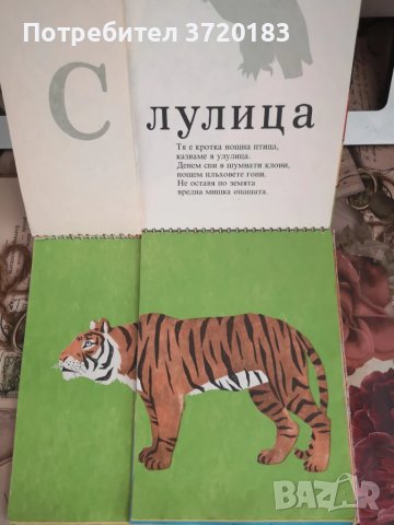 От А до Я - Забавна азбука, снимка 3 - Образователни игри - 51300480