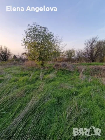 Парцел в с. Чешнегирово (Пловдив), с готов ФУНДАМЕНТ, УПИ 2036 кв , снимка 14 - Парцели - 56005362