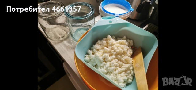 Кефирна гъба, снимка 5 - Други - 52546536