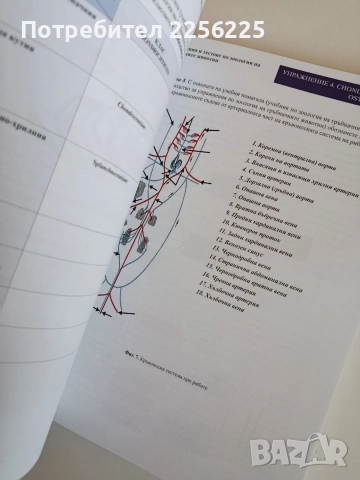 Ръководство за упражнения и тестове по зоология на гръбначните животни, снимка 3 - Специализирана литература - 53862839