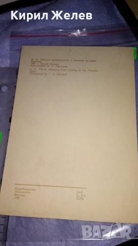 ЛЕВ НИКОЛАЕВИЧ ТОЛСТОЙ Стара РЯДКА РУСКА ПОЩЕНСКА КАРТИЧКА СССР ТЕМА ПИСАТЕЛИ 32300, снимка 5 - Филателия - 38628875