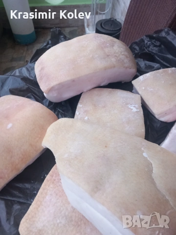 Продавам, снимка 2 - Други животни - 53769768