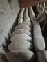 Мивки и ботуши за баня, снимка 2