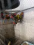 Различни видове екзотични птици , снимка 15
