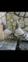 Продавам типлери, снимка 1