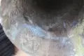 Сачан/звънец/хлопка, снимка 17