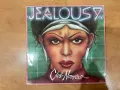 Грамофонна плоча 12”, снимка 1