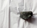 Метеорит. 120 гр., снимка 4