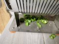 Ръчна резачка за зеленчуци от неръждаема стомана 