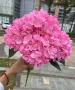 Изкуствени цветя ХОРТЕНЗИИ в различни цветове, снимка 4