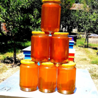 Пчелен мед , снимка 1 - Пчелни продукти - 44581881