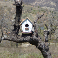 Къщички за птици , върху които може да се рисува ., снимка 3 - Други - 36254268