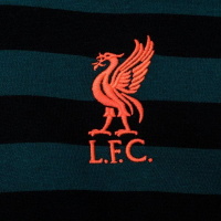 Мъжки суитшърт Nike FC Liverpool Fleece Pullover DB2955-375, снимка 2 - Суичъри - 36191315