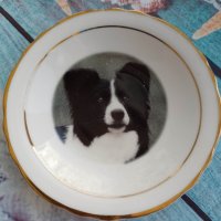 порцеланова декоративна колекционерска чинийка с куче от Англия, снимка 3 - Антикварни и старинни предмети - 41015715