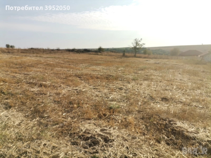 Собственик продава, снимка 1