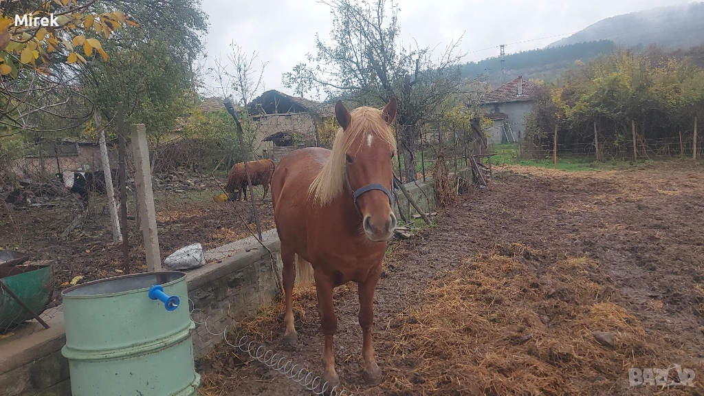 за продажба, снимка 1