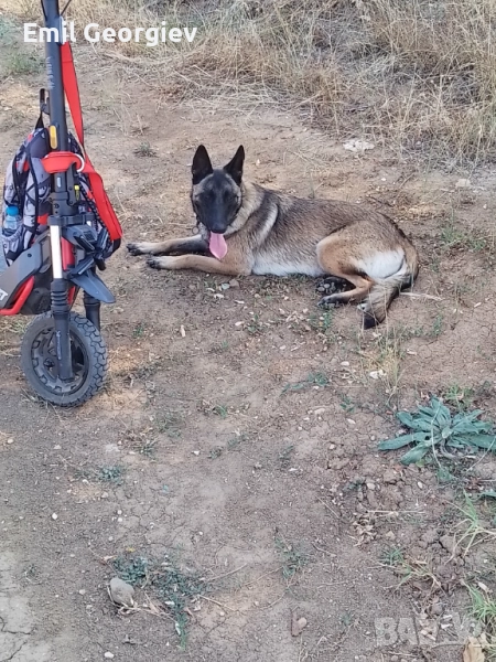 Продавам тротинетка,в гаранция, снимка 1