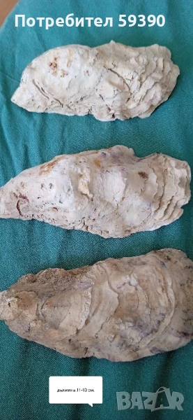 Три броя черупки от стрида , снимка 1