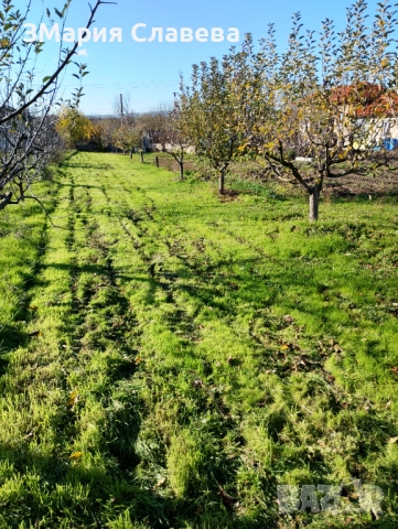 УПИ, парцел, дворно място, село Дибич , снимка 2 - Парцели - 52524995