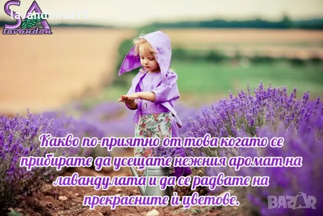 💟Лавандула🇧🇬Маслодайни Рози💞