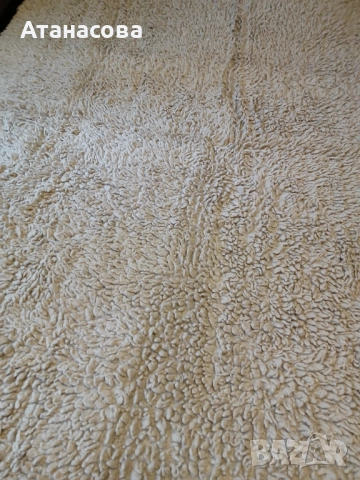 Бял вълнен губер