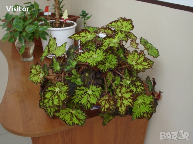 Sony Cybershot DSC P-43 , снимка 16 - Фотоапарати - 52484574