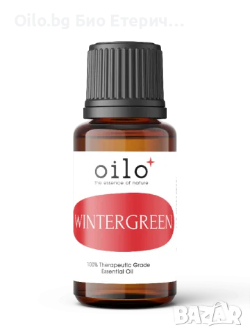 Oilo БИО Етерично Масло от Голтерия - Winterberry Oilo 5 мл.