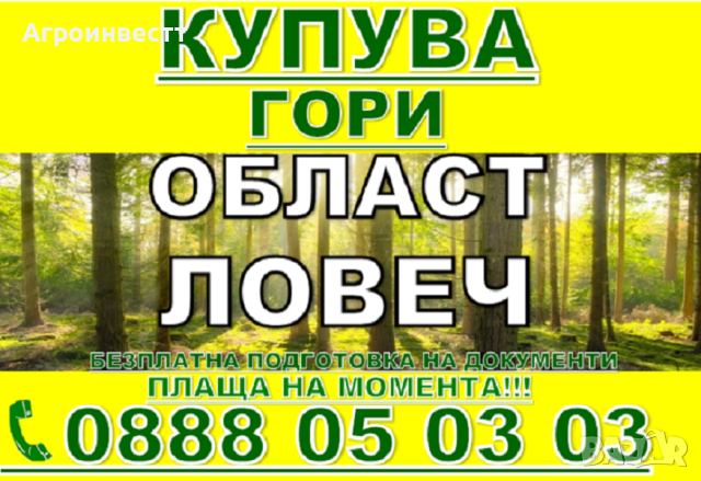 Купува Гори със земята или за сеч, снимка 2 - Други услуги - 44776854