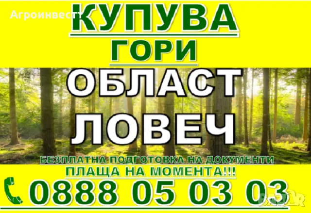 Купува Гори със земята или за сеч, снимка 6 - Други услуги - 44776854