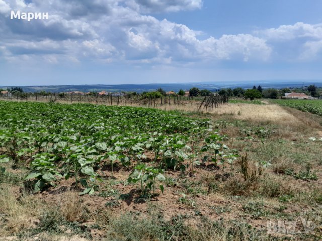 Продавам парцел село Здравец , снимка 3 - Парцели - 41396797