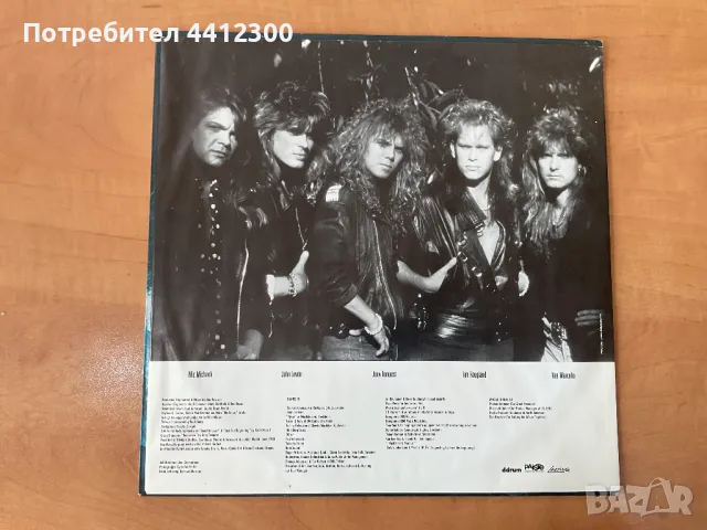 Грамофонна плоча 12”, снимка 3 - Грамофонни плочи - 49732503