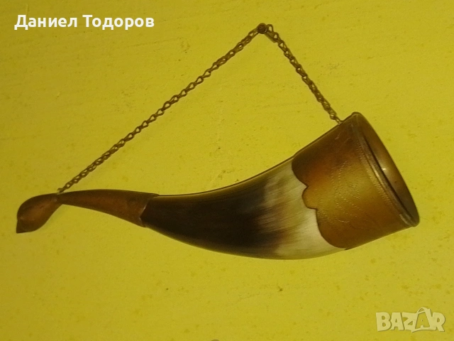 Стар Рог с Бронзов Обков, Чаша от рог