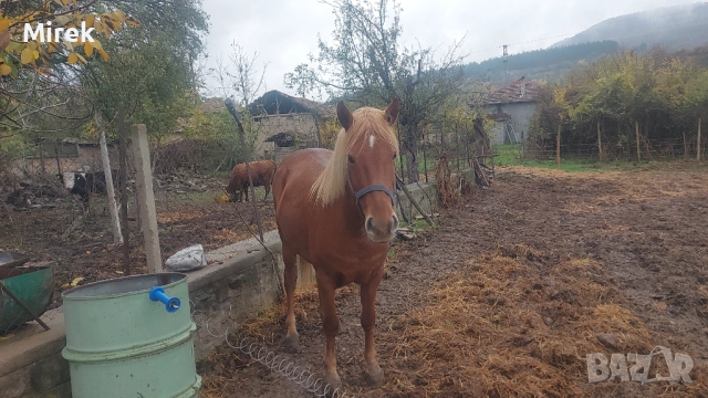 за продажба