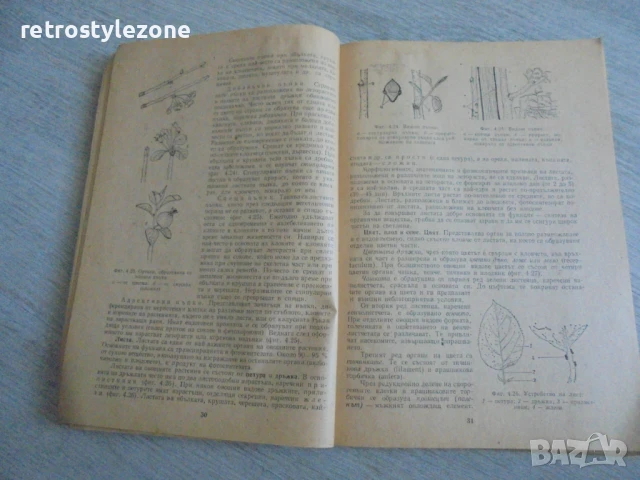 № 8168 стара книга - "Овощарство"   - издателство - Земиздат 1990 г.  , снимка 3 - Специализирана литература - 51288496