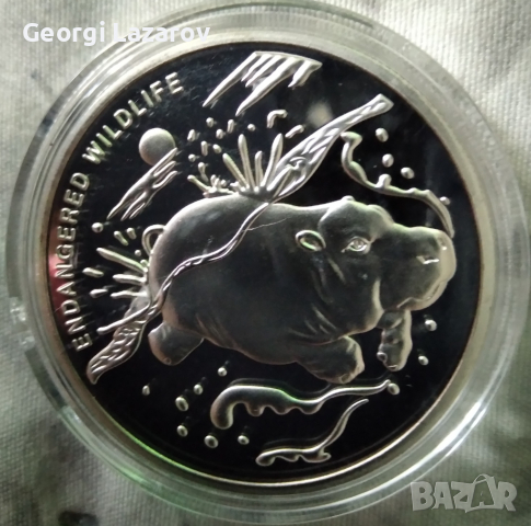 10 франка Хипопотам 2007 Конго, снимка 2 - Нумизматика и бонистика - 33423843