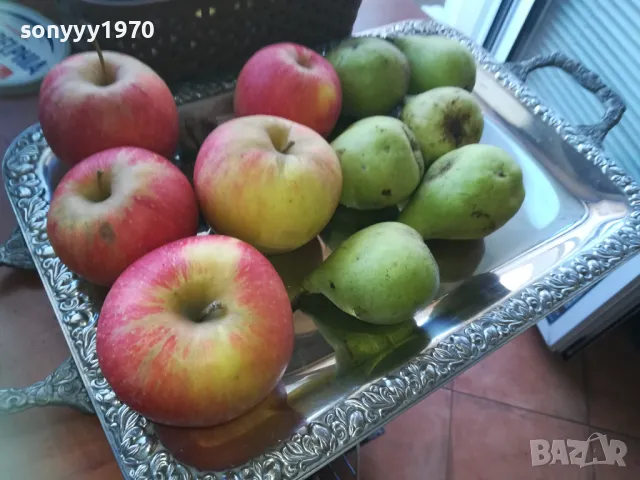 СТИЛЕН ПОДНОС ОТ ФРАНЦИЯ 0211241900, снимка 15 - Антикварни и старинни предмети - 47815418